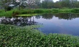 风景最新爆料图片高清壁纸,最新高清壁纸风景图赏析