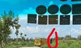 长春动物园爆料案件最新,惊曝动物虐待事件引发社会关注