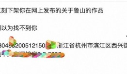 鲁山爆料者最新回应,揭秘事件真相与后续发展