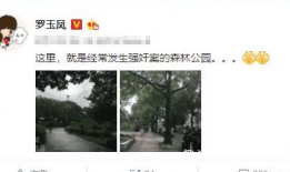 漳浦摄影爆料案件最新,真相追踪，揭秘背后隐情