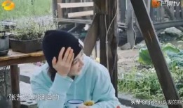 杨紫和许凯最新爆料视频,幕后故事与情感纠葛