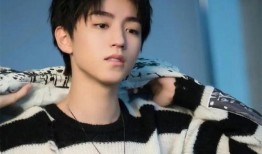 王俊凯最新消息爆料,揭秘偶像背后的故事与成长历程