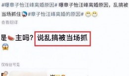 刘大锤爆料猛料最新,娱乐圈惊天猛料大揭秘！