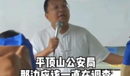 鲁山爆料者最新回应,揭秘事件真相与后续发展