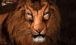 狮子最新爆料,娱乐圈背后的惊人真相